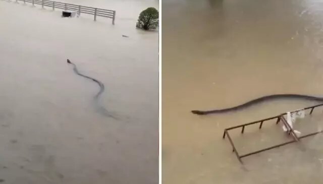 Devasa boyutlarda! Selin vurduğu ülkeden kabus görüntüleri