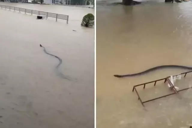 devasa boyutlarda selin vurdugu ulkede kabus 19296262 5758 o