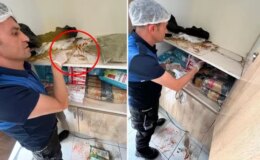 Devrek’te bir rezil görüntü daha! Dolaplar fare pisliklerinden geçilmiyor