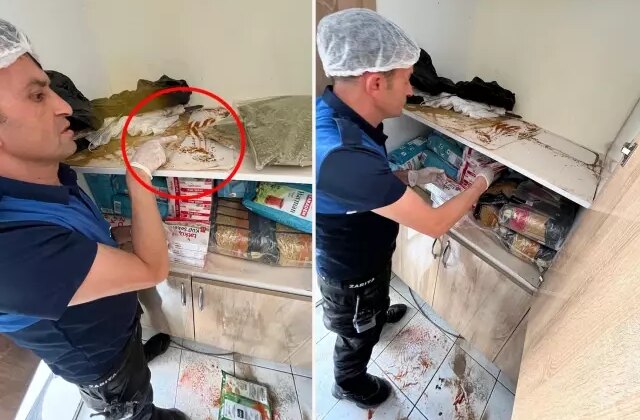 Devrek’te bir rezil görüntü daha! Dolaplar fare pisliklerinden geçilmiyor