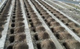 Dikkat çeken hazırlık! Apar topar 500 mezar hazırlandı