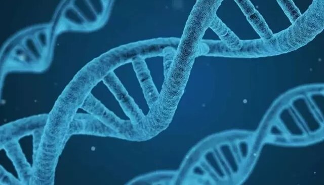 DNA’nın yapısını keşfeden Nobel ödüllü bilim insanı James Watson hayatını kaybetti