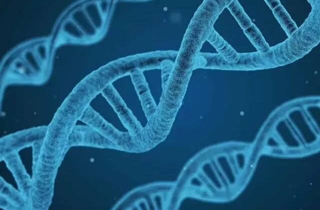 DNA’nın yapısını keşfeden Nobel ödüllü bilim insanı James Watson hayatını kaybetti