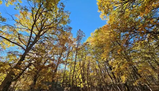 Dünyada bir tek Isparta’da var! İzinsiz girmenin cezası bir servet değerinde