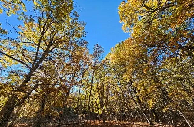 Dünyada bir tek Isparta’da var! İzinsiz girmenin cezası bir servet değerinde
