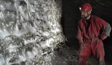 Dünyanın en büyük örümcek ağı keşfedildi