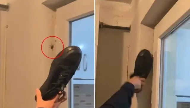 Duvardaki örümceğe ayakkabı ile vurdu, sonrasında olanlara inanamadı