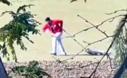 Edirne’de sahipsiz köpeği sürükleyen belediyede personeli gözaltına alındı