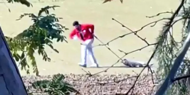 Edirne’de sahipsiz köpeği sürükleyen belediyede personeli gözaltına alındı