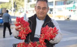 “Gençlik iksiri” tezgahlardaki yerini aldı! Faydaları saymakla bitmiyor
