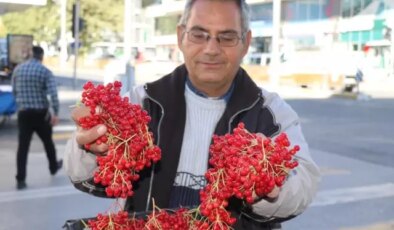 “Gençlik iksiri” tezgahlardaki yerini aldı! Faydaları saymakla bitmiyor
