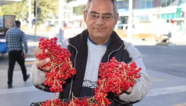 “Gençlik iksiri” tezgahlardaki yerini aldı! Faydaları saymakla bitmiyor