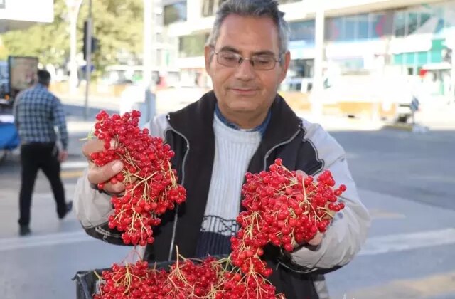 “Gençlik iksiri” tezgahlardaki yerini aldı! Faydaları saymakla bitmiyor