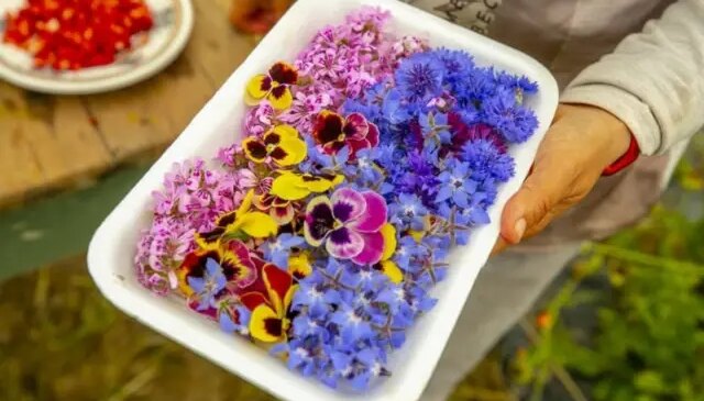 Gastronomide yeni trend: Yenilebilir çiçekler gündemde
