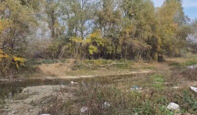 Gürcistan’da Türk vatandaşı ormanlık alanda ölü bulundu