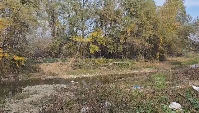 Gürcistan’da Türk vatandaşı ormanlık alanda ölü bulundu