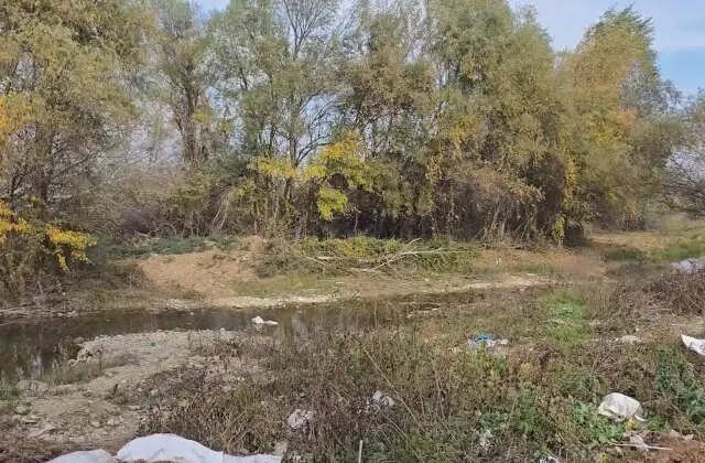 Gürcistan’da Türk vatandaşı ormanlık alanda ölü bulundu