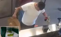 İç çamaşırında kaçak papağanlarla sınırı geçmeye çalıştı