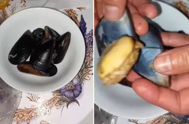 İnsanlara ne yediriyorlar? Midyeye tövbe ettirecek görüntü