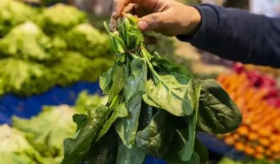 Ispanak sanıp yediler, ölümün eşiğine geldiler