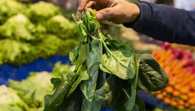 Ispanak sanıp yediler, ölümün eşiğine geldiler