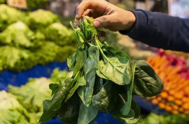 Ispanak sanıp yediler, ölümün eşiğine geldiler