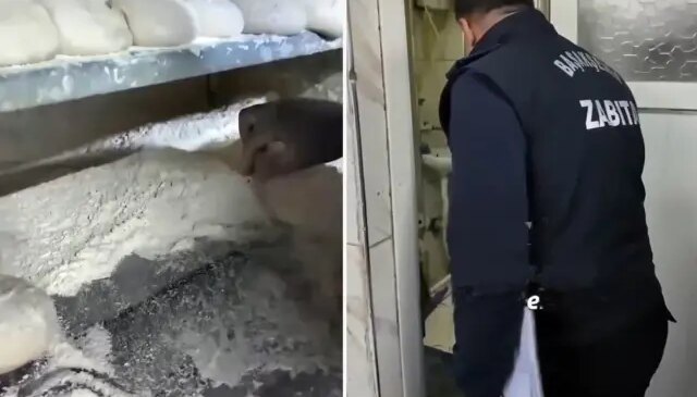 İstanbul’da ekmek fırınında mide bulandıran görüntüler