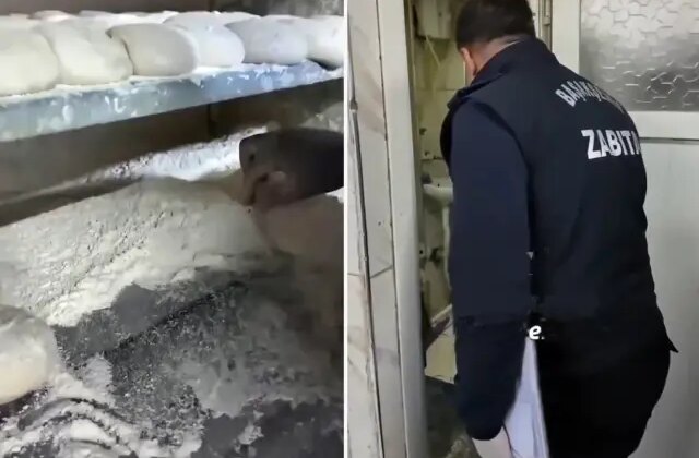 İstanbul’da ekmek fırınında mide bulandıran görüntüler