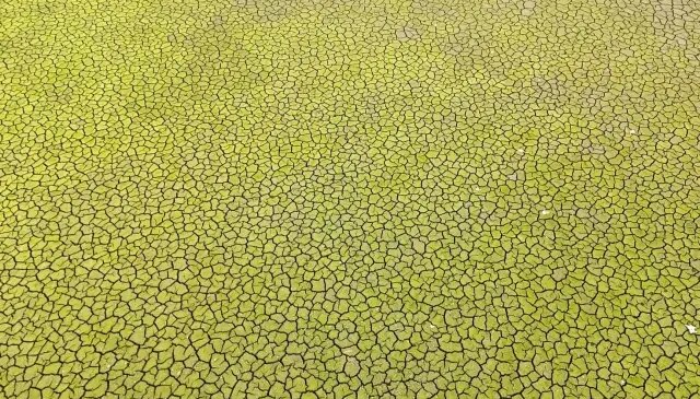 İstanbul için kıyamet senaryosu: Bu şekilde yaza girersek felaket olur