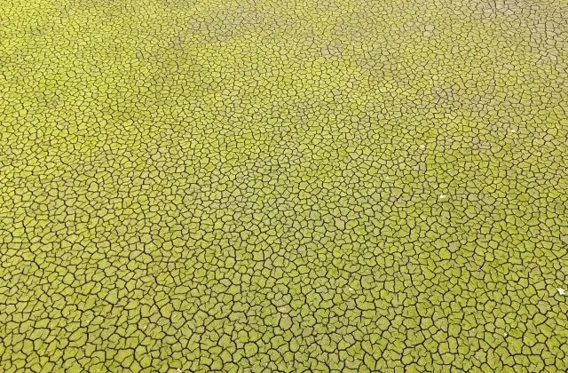 İstanbul için kıyamet senaryosu: Bu şekilde yaza girersek felaket olur