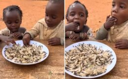 İzleyenler “yok artık” diyor! Yedikleri şeyin ne olduğunu bir bilseniz