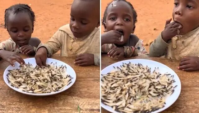 İzleyenler “yok artık” diyor! Yedikleri şeyin ne olduğunu bir bilseniz