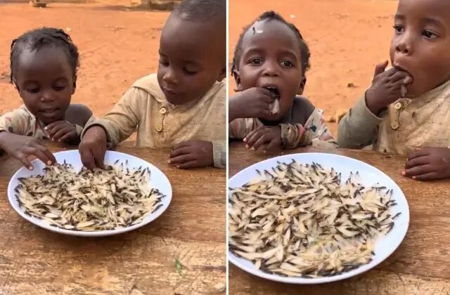 İzleyenler “yok artık” diyor! Yedikleri şeyin ne olduğunu bir bilseniz