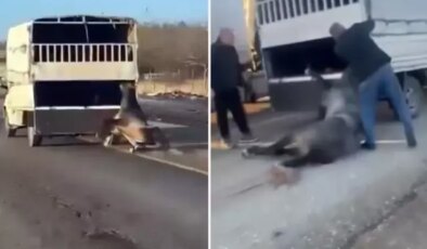 Kamyonetin arkasına bağladığı atı dakikalarca sürükledi
