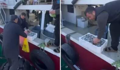Kasalar dolusu balığı bedava dağıttılar! Nedeni de bir o kadar ilginç
