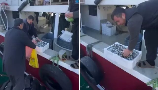 Kasalar dolusu balığı bedava dağıttılar! Nedeni de bir o kadar ilginç