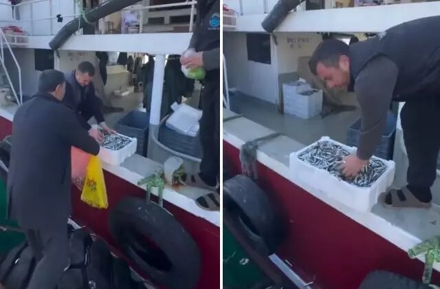 Kasalar dolusu balığı bedava dağıttılar! Nedeni de bir o kadar ilginç