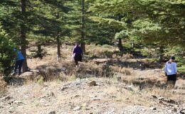 Kilosu etle yarışıyor! Japonların gözdesi “beyaz altın”da hasat başladı