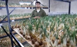 14 metrekarelik tesiste üretiyor, 5 kilosuna daire alınıyor! İlgisi için sırrını da paylaştı