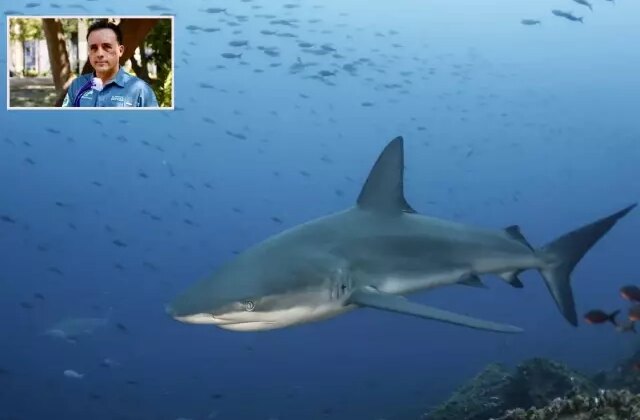 Köpekbalığı saldırısından sağ kurtulan biyolog o anları anlattı