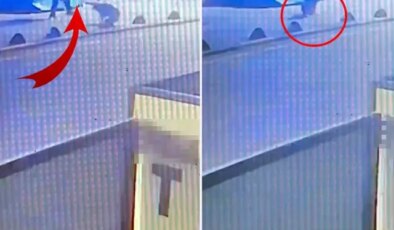 Emekli astsubay, sokak köpeğini tabancayla vurdu