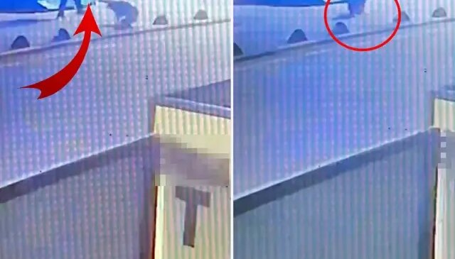 Emekli astsubay, sokak köpeğini tabancayla vurdu