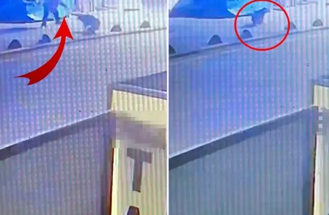 Emekli astsubay, sokak köpeğini tabancayla vurdu