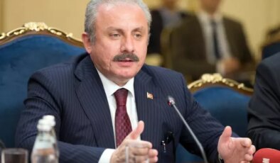 Mustafa Şentop: Üniversiteyi bitirmiş olmak, evlenme yaşını yukarıya taşıyor