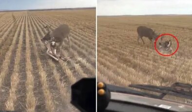Nasıl olduğuna kimse anlam veremiyor: Bozkırın ortasında dehşete düşüren görüntü