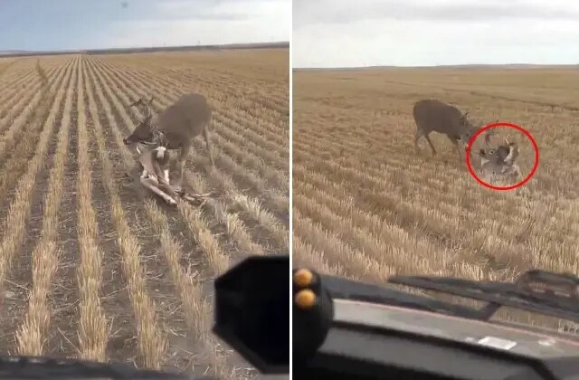 Nasıl olduğuna kimse anlam veremiyor: Bozkırın ortasında dehşete düşüren görüntü