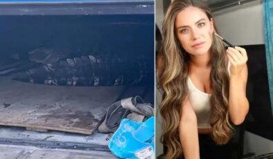 Oyuncu Ceyda Ateş’in oturduğu sitede timsah yakalandı