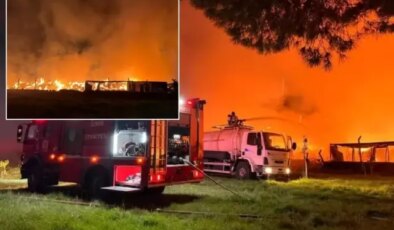 Rüzgarın etkisiyle büyüdü! İzmir’de gece yarısı korkutan yangın