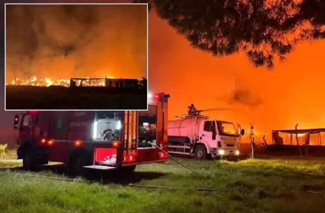 Rüzgarın etkisiyle büyüdü! İzmir’de gece yarısı korkutan yangın