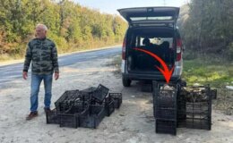 Saatlerce gezip 3 adet bulabiliyorlar! Kiloyla değil gramla satılıyor